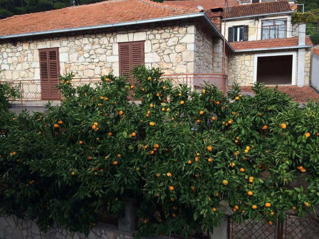 Vrbanj Holiday House With A Parking Space Svirce, Hvar - 17682 מראה חיצוני תמונה